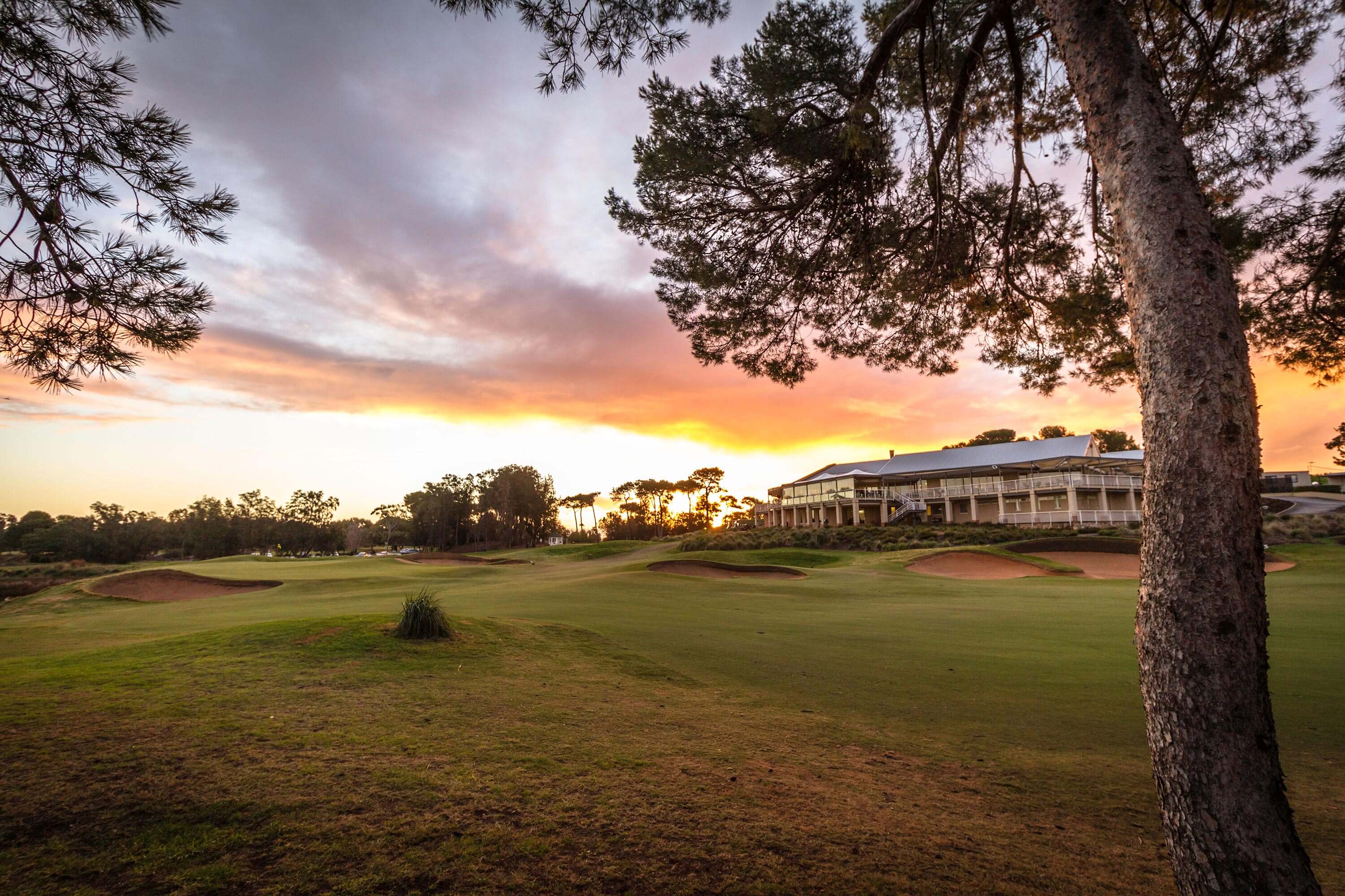 Adelaide Golf Packages Golf Tourism Australia